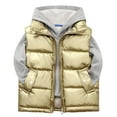 thumbnail image 1 of Ruyang Boys Puffer Vest Kids Girls Sleeveless Hooded Down Jackets Winter Warm Lightweight Zip Up Mock Neck Puffy Waistcoat, 1 of 4