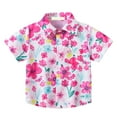 thumbnail image 1 of Ruyang Cute Hawaiian Shirts for Toddler Baby Girls, Short Sleeve Summer Casual Beach Holiday Vacation Clothes with Button, 1 of 9