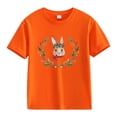 thumbnail image 1 of Ruyang Easter Shirt for Toddler Girls Bunny Wreath Shirts Outfits Kids Girl 𝐂artoon Tee Summer New Fashionable T-Shirt, 1 of 1