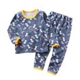 thumbnail image 1 of Ruyang Kids Boys Dinosaur 2 Piece Outfits Baby Girls Cute Bunny Graphic Clothing Sets Cotton Long Sleeve Tops Joggers, 1 of 4