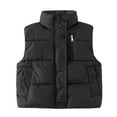 thumbnail image 1 of Ruyang Toddler Boys Girls Puffer Vest Winter Warm Thick Puffy Quilted Gilet Lightweight Water-proof Sleeveless Jackets, 1 of 4