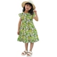 thumbnail image 1 of Ruyang Toddler Girls Hawaiian Sundress Print Ruffle Fly Sleeve Crewneck Dresses Summer A-line Swing Beach Vacation Dresses, 1 of 7
