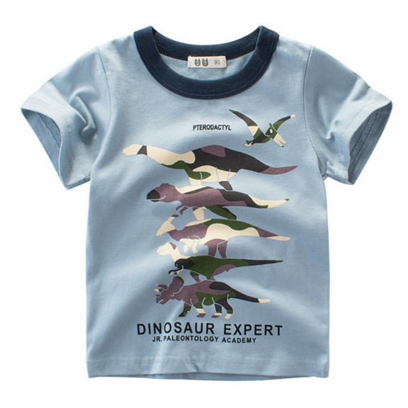 Ruyang Toddler Kids Short T Shirts Sleeve Clothes Baby Girls Tops Dinosaur Print Crewneck Long Sleeve Tee Shirt