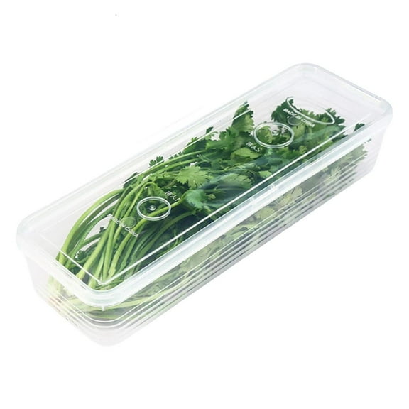 Rvaymup Functional Clear View Long Rectangular Food Storage Box Freshness Preservation Box For Easy Access And Organization
