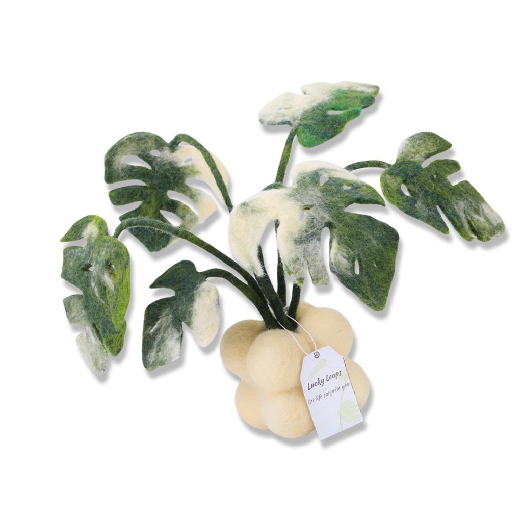 Rvaymup Monstera Plant Needle Felting Set with Felting Needle Instruction Felting Pad