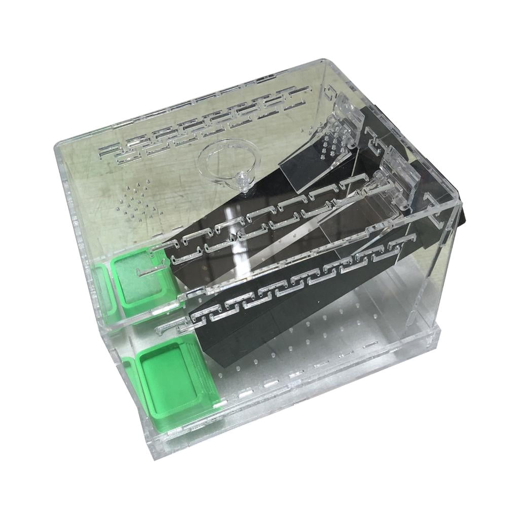 Insect Tank Rvaymup Plastic Insect Keeper Tanks with Removable Base and Double ...