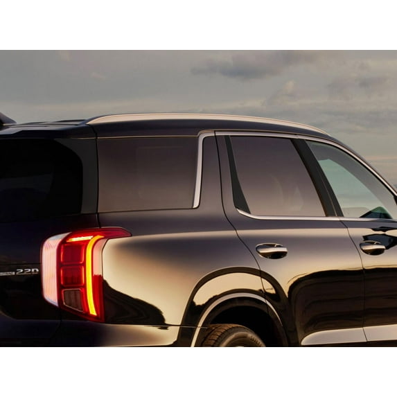 Rvinyl Pillar Post Window Trim Compatible with Hyundai Palisade 2020-2024 - Matte (Black)