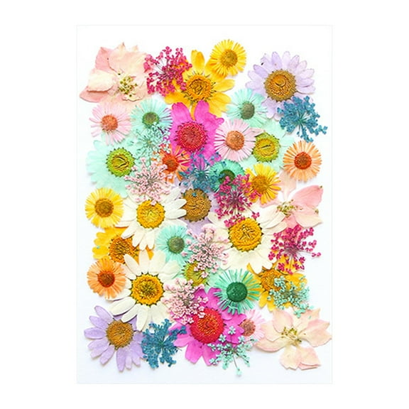 Rvkxad Dried Embossed Flowers Kit, Natural Dried Flowers For Resin And Crafts, Premium Pressed Floral Embellishments For DIY Jewelry Candle Making Home Decor