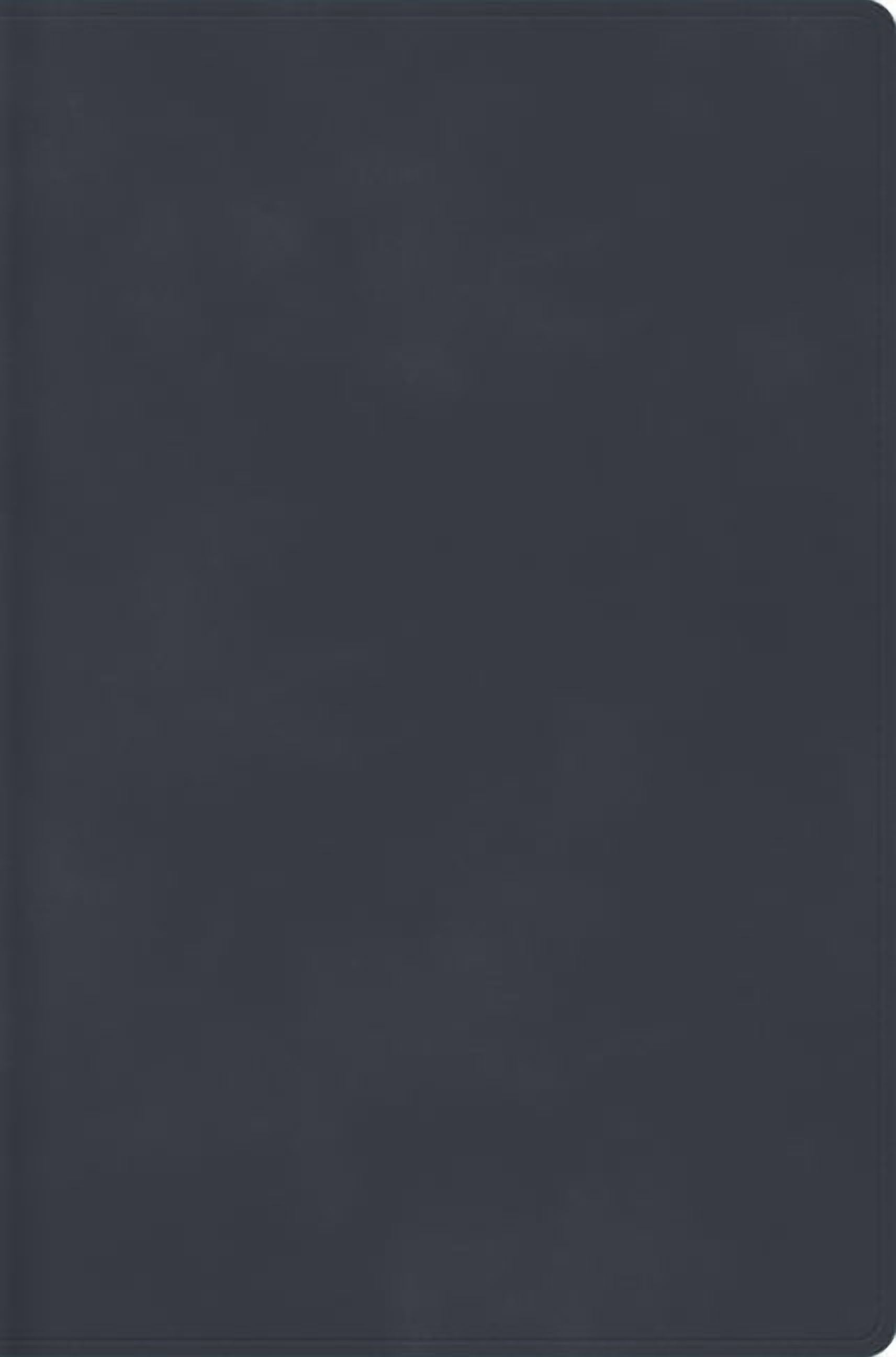 Rvr 1960 Biblia Descubre Tu Fe, Gris Azulado, Símil Piel, (Hardcover)