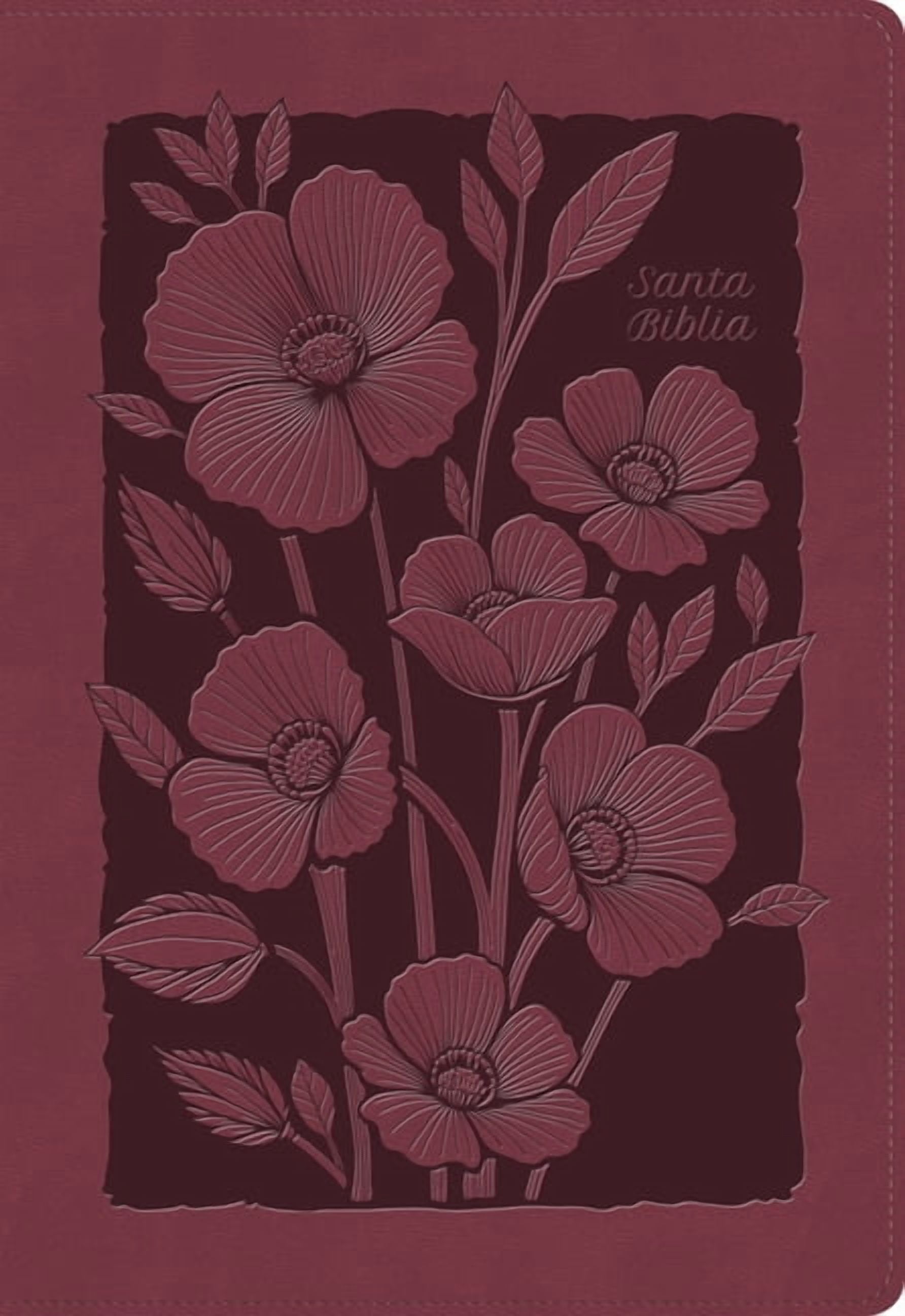 Rvr 1960 Biblia Para Regalos Y Premios, RubÃ­ Floral, SÃ­mil Piel, (Hardcover)