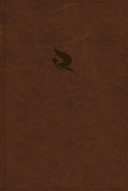 Rvr60, Biblia Plenitud, Revisada Y Ampliada, Leathersoft, CafÃ©, Interior a Cuatro Colores, Comfort Print: Equipando El R, (Hardcover)