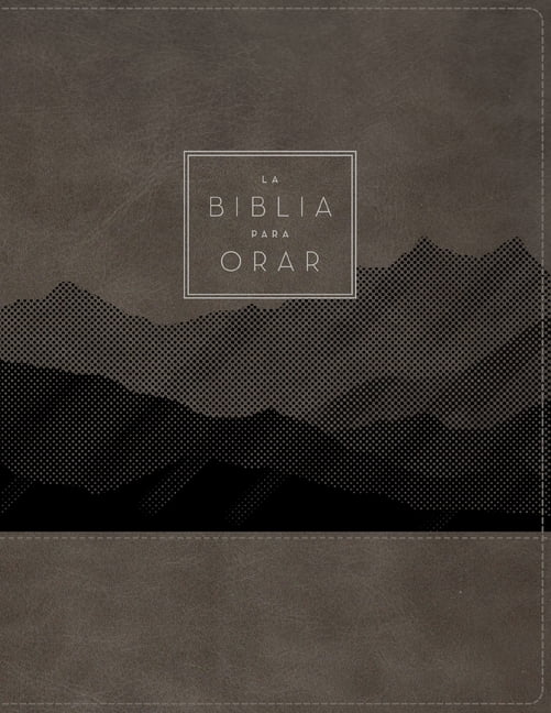 Rvr60, La Biblia Para Orar, Leathersoft, Gris, Palabras de JesÃºs En Rojo, Comfort Print: Ora La Palabra de Dios de Princ, (Hardcover)