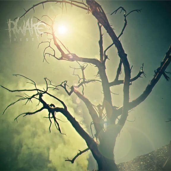 Rwake  Rest LP green
