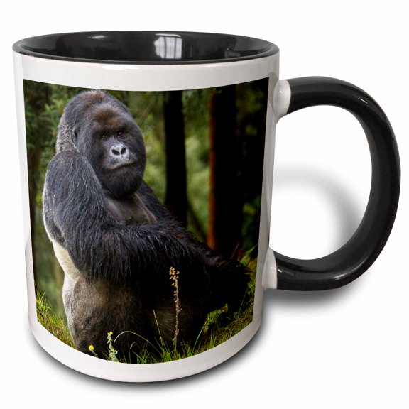 3drose, Rwanda, Kwitonda, Mountain Gorilla-af35 Rbe0031 - Ralph H. Bendjebar, 11oz Two-tone Black Mug