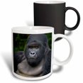 thumbnail image 1 of 3drose, Rwanda, Mountain Gorilla, No 2 Silverback -af35 Rbe0052 - Ralph H. Bendjebar, 11oz Magic Transforming Mug, 1 of 7