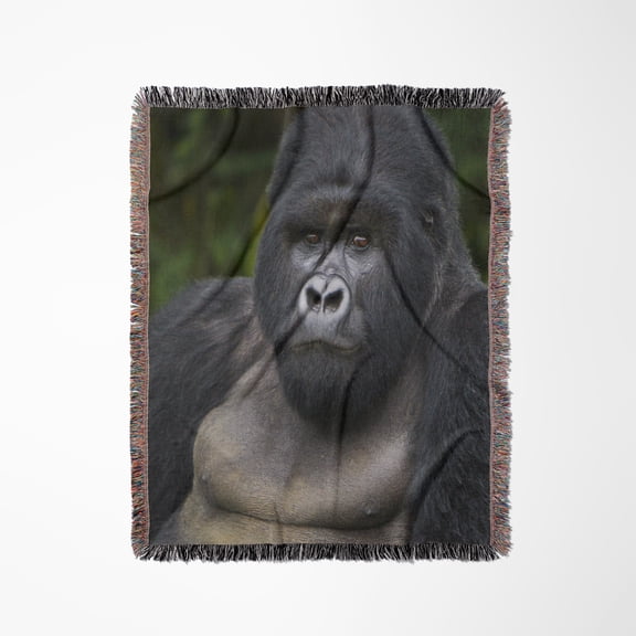 Rwanda, Mountain Gorilla, No 2 Silverback -Af35 Rbe0052 - Ralph H. Bendjebar, Woven Blanket