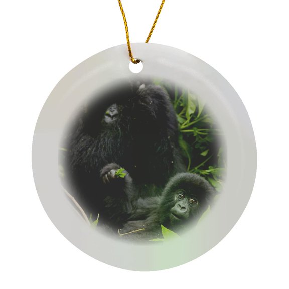 3drose, Rwanda, Mountain Gorilla, Volcanoes Park - Af35 Rbe0112 - Ralph H. Bendjebar, Circle Porcelain Ornament