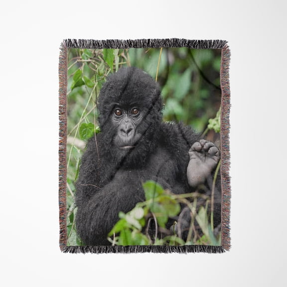 Rwanda, Volcanoes Np. Juvenile Mountain Gorilla Watching Curiously., Woven Blanket