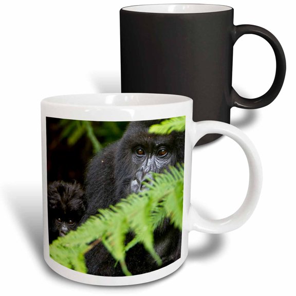3drose, Rwanda, Volcanoes Np, Mountain Gorillas -af35 Rbe0079 - Ralph H. Bendjebar, 11oz Magic Transforming Mug