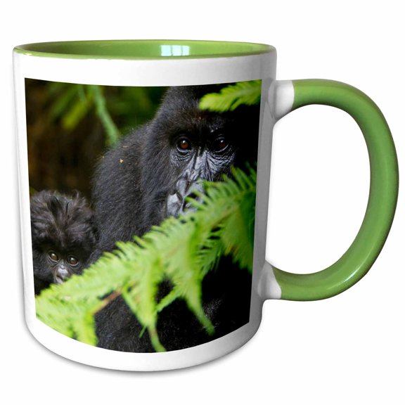 3drose, Rwanda, Volcanoes Np, Mountain Gorillas -af35 Rbe0079 - Ralph H. Bendjebar, 11oz Two-tone Green Mug
