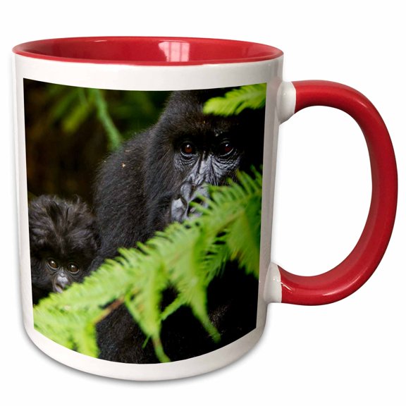 3drose, Rwanda, Volcanoes Np, Mountain Gorillas -af35 Rbe0079 - Ralph H. Bendjebar, 11oz Two-tone Red Mug