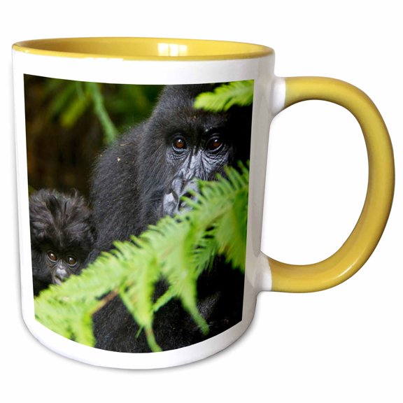 3drose, Rwanda, Volcanoes Np, Mountain Gorillas -af35 Rbe0079 - Ralph H. Bendjebar, 11oz Two-tone Yellow Mug