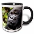 thumbnail image 1 of 3drose, Rwanda, Volcanoes Np. Silverback Mountain Gorilla at Peace,, 11oz Two-tone Black Mug, 1 of 6