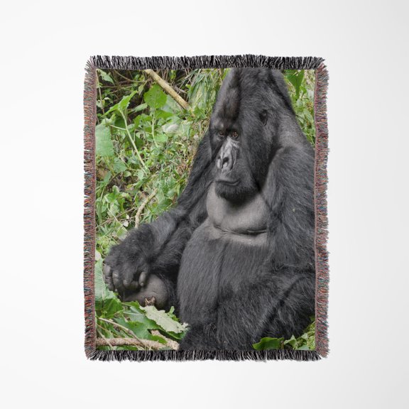 Rwanda, Volcanoes Np. Sitting Silverback Mountain Gorilla., Woven Blanket