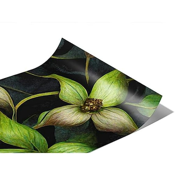 Rwraps Classic Floral Secret Meadow Gloss Vinyl Film Wrap 59in x 28ft Vinyl Vehicle Car Film Sheet