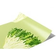 thumbnail image 1 of Rwraps Lettuce Vegetable Frizzy Frisee Matte Vinyl Film Wrap 59in x 22ft Vinyl Vehicle Car Film, 1 of 9