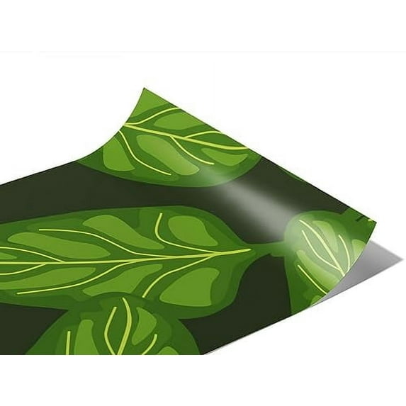 Rwraps Lettuce Vegetable Space Spinach Gloss Vinyl Film Wrap 59in x 4ft Vinyl Vehicle Car Film Sheet