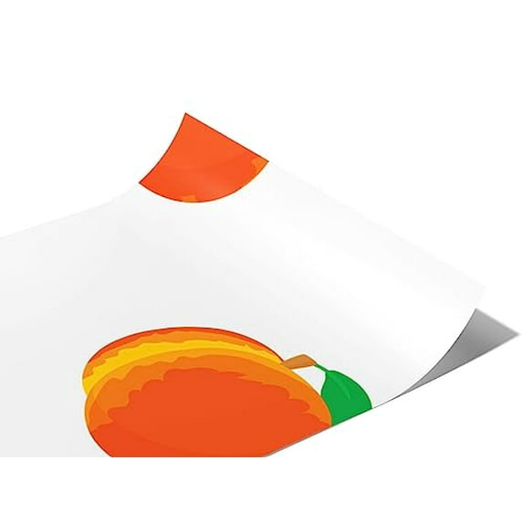 Rwraps Peach Harmony Honey Gloss Vinyl Film Wrap 59in x 14ft Vinyl Vehicle Car Film Sheet Roll