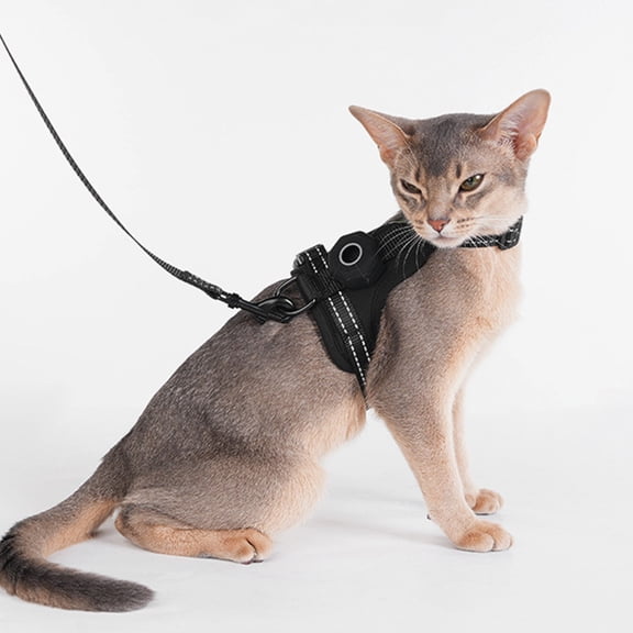 Rwvbm Escape Proof Cat Harness and Leash Set, Reflective Adjustable Soft Mesh Walking Vest with GPS Tracker Pouch for Small Cats and Puppies