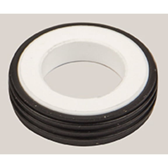 Rx Clear Ceramic Insert for the Little Niagara Swimming Pool Pump