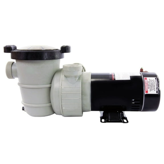 Rx Clear Dorado 1-1/2 HP Dual Port Above-Ground Swimming Pool Pump