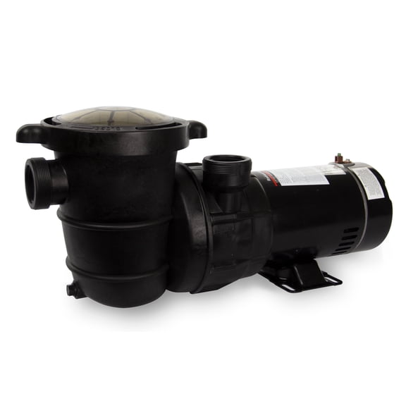 Rx Clear Extreme Force Above-ground Swimming Pool Pump - 2 HP
