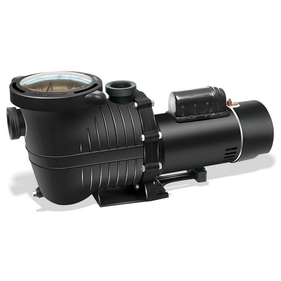 Rx Clear Mighty Niagara Dual Speed Inground Pump, .96 HP