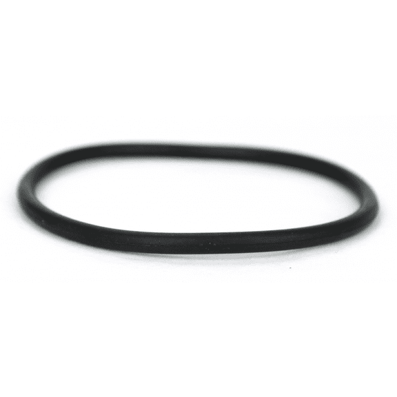 Rx Clear O-Ring for Above Ground Offline/Inline Chlorinator Lid