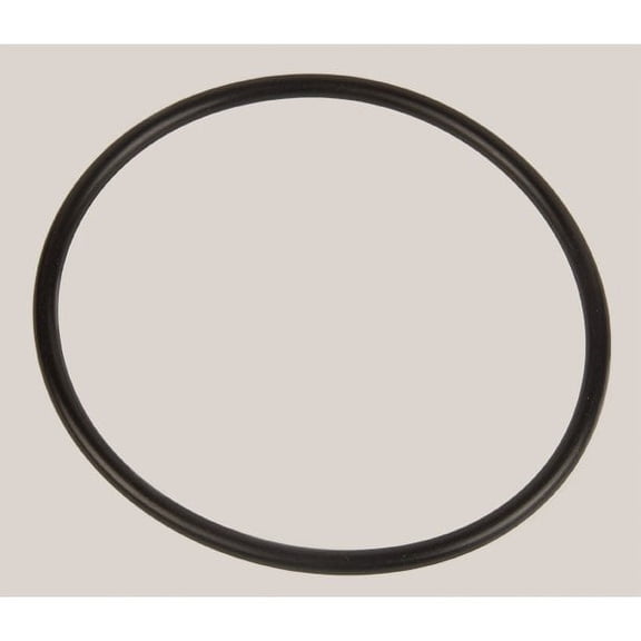 Rx Clear Strainer Lid O-ring for the Little Niagara Pump
