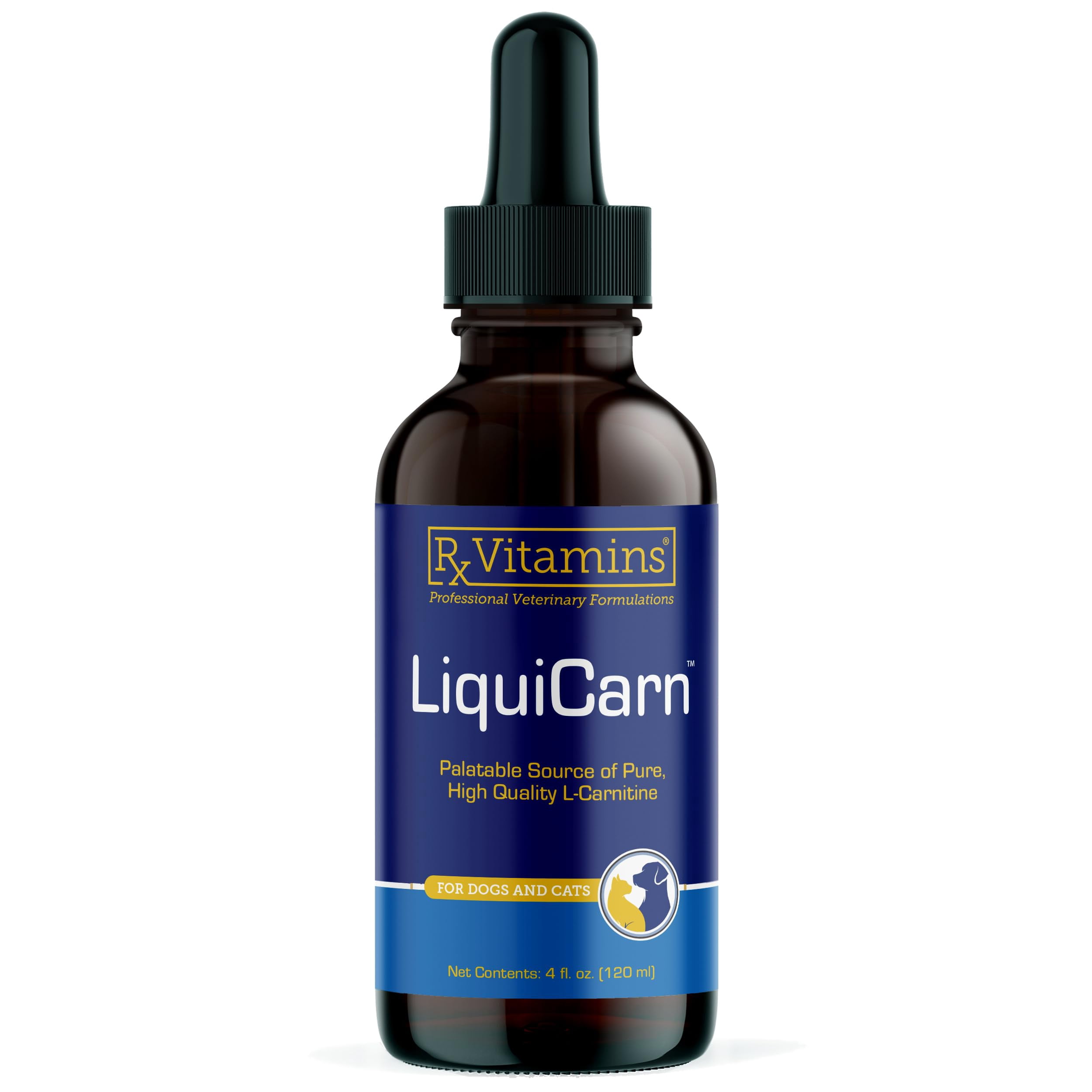 losartan and l-carnitine L-Carnitine