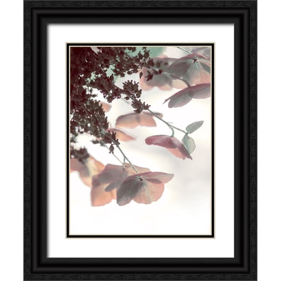 Ryan, Brooke T. 12x14 Black Ornate Wood Framed with Double Matting Museum Art Print Titled - Pink And Aqua Hydrangeas