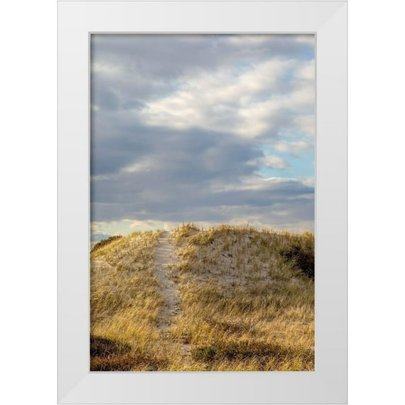 Ryan, Brooke T. 13x18 White Modern Wood Framed Museum Art Print Titled - Dunes Trail