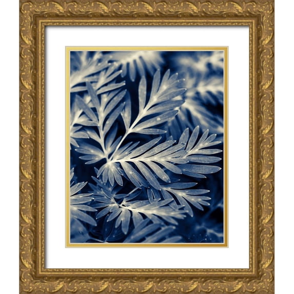 Ryan, Brooke T. 15x18 Gold Ornate Wood Framed with Double Matting Museum Art Print Titled - Navy Blue Leaves