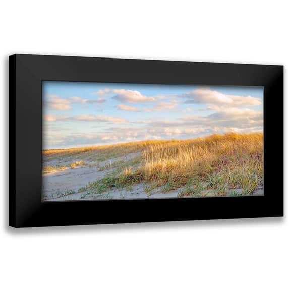 Ryan, Brooke T. 18x11 Black Modern Framed Museum Art Print Titled - Grassy Dunes Panorama