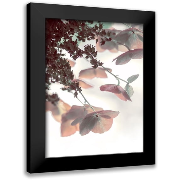 Ryan, Brooke T. 19x24 Black Modern Framed Museum Art Print Titled - Pink And Aqua Hydrangeas