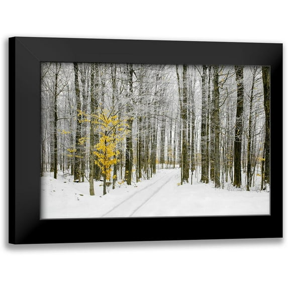 Ryan, Brooke T. 24x17 Black Modern Framed Museum Art Print Titled - Mustard Tree
