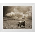 thumbnail image 1 of Ryan, Brooke T. 24x20 White Modern Wood Framed Museum Art Print Titled - Scottish Highland Cattle No. 1, 1 of 4