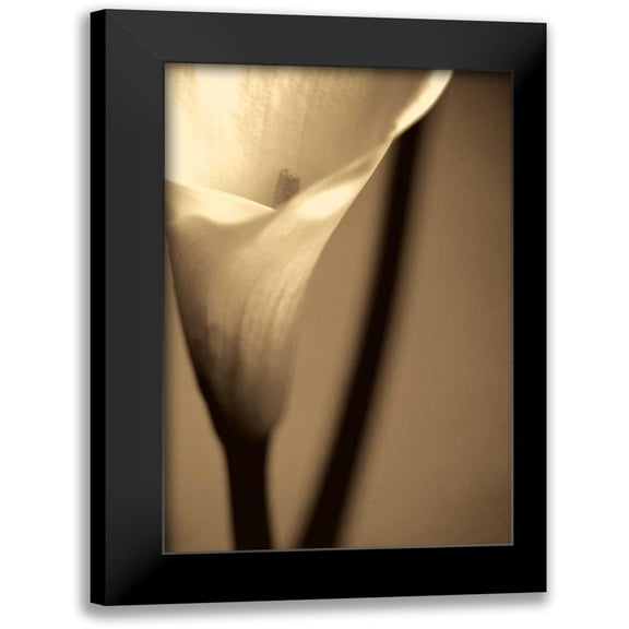 Ryan, Cinzia 10x14 Black Modern Framed Museum Art Print Titled - Divinity