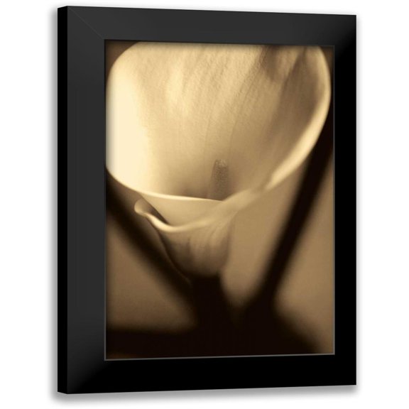 Ryan, Cinzia 11x14 Black Modern Framed Museum Art Print Titled - Divinity