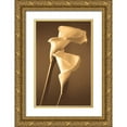 thumbnail image 1 of Ryan, Cinzia 11x14 Gold Ornate Wood Framed with Double Matting Museum Art Print Titled - Enlightenment, 1 of 4